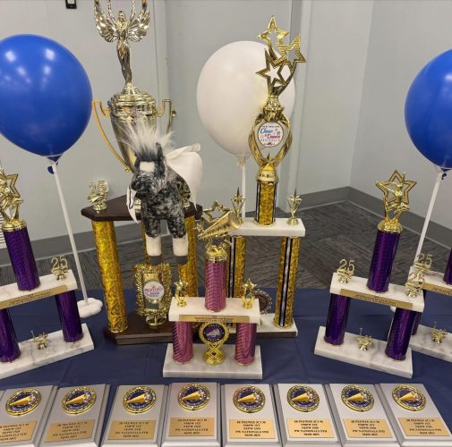 CheerTrophys